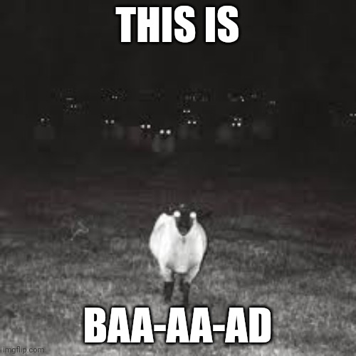 Creepy sheepy | THIS IS; BAA-AA-AD | image tagged in sheep,creepy | made w/ Imgflip meme maker