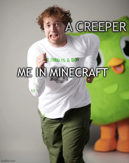 AHHHH! | A CREEPER; ME IN MINECRAFT | image tagged in running from the duolingo owl | made w/ Imgflip meme maker