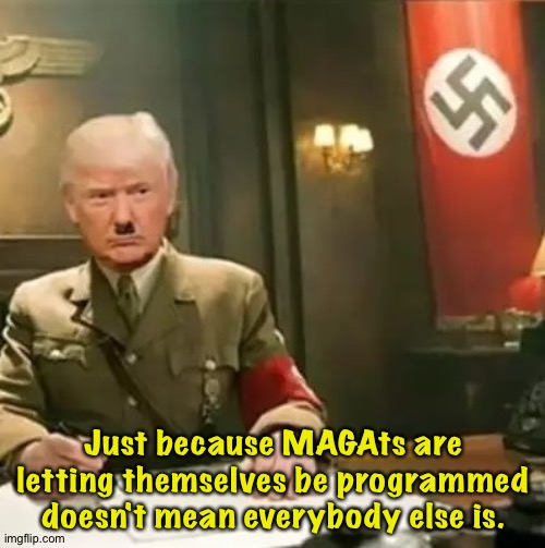 Donald Trump Hitler | Just because MAGAts are letting themselves be programmed doesn't mean everybody else is. | image tagged in donald trump hitler | made w/ Imgflip meme maker