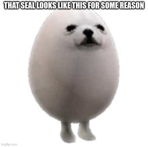 Eggdog with white background | THAT SEAL LOOKS LIKE THIS FOR SOME REASON | image tagged in eggdog with white background | made w/ Imgflip meme maker