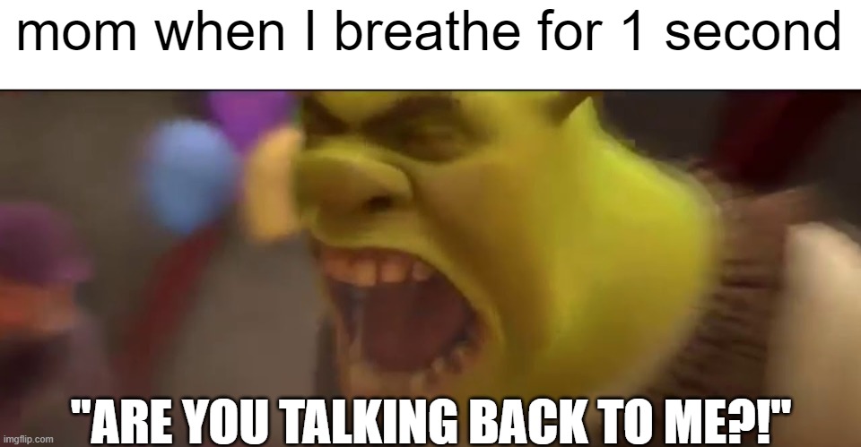 it is what it is | mom when I breathe for 1 second; "ARE YOU TALKING BACK TO ME?!" | image tagged in shrek screaming,mom,memes,shrek | made w/ Imgflip meme maker