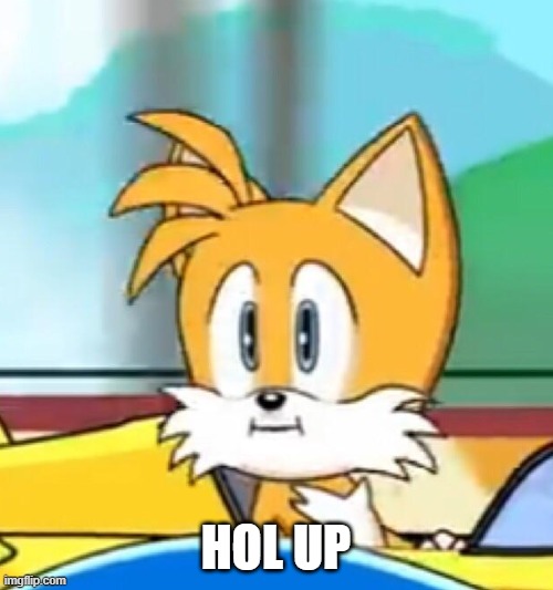 Tails hold up | HOL UP | image tagged in tails hold up | made w/ Imgflip meme maker