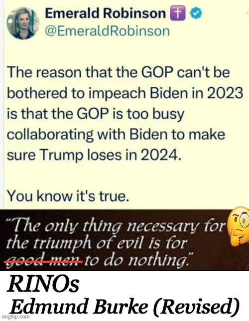 It's Not Nice To Fool With Donald Trump | _____; Edmund Burke (Revised); RINOs | image tagged in politics,donald trump,rinos,evil,gop,political humor | made w/ Imgflip meme maker