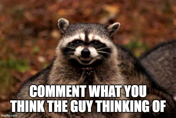 Evil Plotting Raccoon | COMMENT WHAT YOU THINK THE GUY THINKING OF | image tagged in memes,evil plotting raccoon | made w/ Imgflip meme maker
