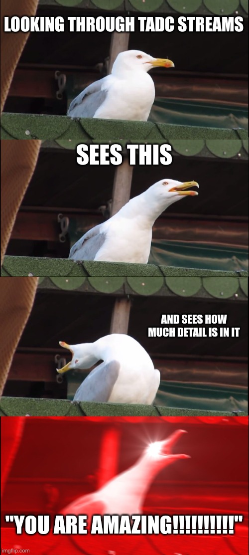 Inhaling Seagull Meme | LOOKING THROUGH TADC STREAMS SEES THIS AND SEES HOW MUCH DETAIL IS IN IT "YOU ARE AMAZING!!!!!!!!!!" | image tagged in memes,inhaling seagull | made w/ Imgflip meme maker