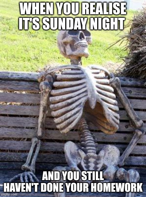 sunday night | WHEN YOU REALISE IT'S SUNDAY NIGHT; AND YOU STILL HAVEN'T DONE YOUR HOMEWORK | image tagged in memes,waiting skeleton | made w/ Imgflip meme maker