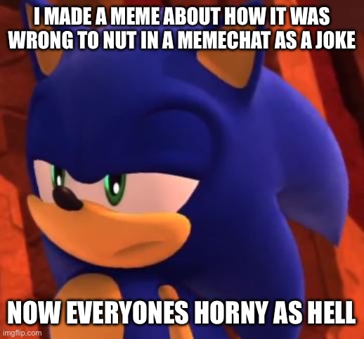 Disappointed Sonic | I MADE A MEME ABOUT HOW IT WAS WRONG TO NUT IN A MEMECHAT AS A JOKE; NOW EVERYONES HORNY AS HELL | image tagged in disappointed sonic | made w/ Imgflip meme maker