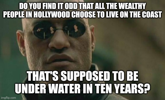 Almost like it's a....hoax. | DO YOU FIND IT ODD THAT ALL THE WEALTHY PEOPLE IN HOLLYWOOD CHOOSE TO LIVE ON THE COAST; THAT'S SUPPOSED TO BE UNDER WATER IN TEN YEARS? | image tagged in memes,matrix morpheus | made w/ Imgflip meme maker