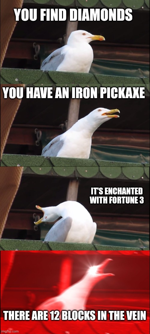 Inhaling Seagull Meme | YOU FIND DIAMONDS; YOU HAVE AN IRON PICKAXE; IT'S ENCHANTED WITH FORTUNE 3; THERE ARE 12 BLOCKS IN THE VEIN | image tagged in memes,inhaling seagull | made w/ Imgflip meme maker