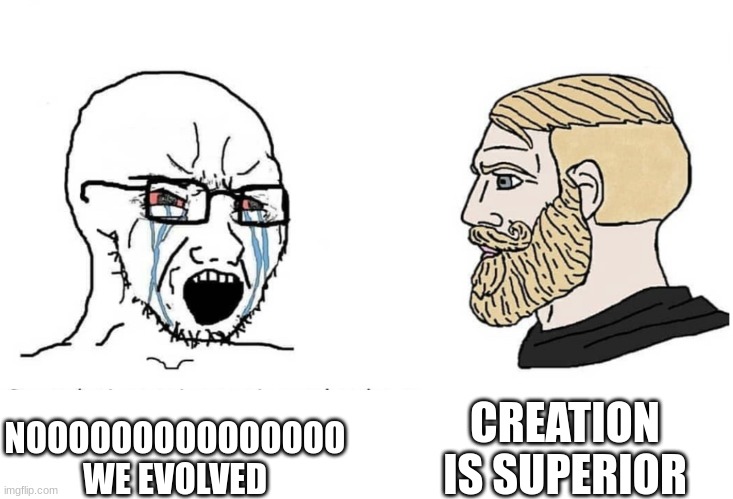 Soyboy Vs Yes Chad | CREATION IS SUPERIOR; NOOOOOOOOOOOOOOO WE EVOLVED | image tagged in soyboy vs yes chad | made w/ Imgflip meme maker