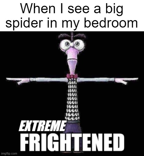 Meanwhile in Australia... | When I see a big spider in my bedroom | image tagged in extreme frightened,inside out,fear,spider,meanwhile in australia | made w/ Imgflip meme maker