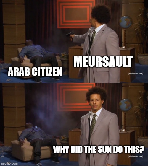 Who Killed Hannibal Meme | MEURSAULT; ARAB CITIZEN; WHY DID THE SUN DO THIS? | image tagged in memes,who killed hannibal | made w/ Imgflip meme maker