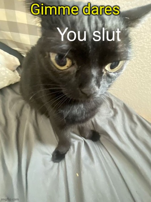 You slut | Gimme dares | image tagged in you slut | made w/ Imgflip meme maker