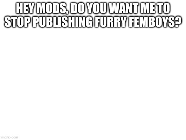 (Trench_Soldier: yes pls) | HEY MODS, DO YOU WANT ME TO STOP PUBLISHING FURRY FEMBOYS? | image tagged in asking a question | made w/ Imgflip meme maker
