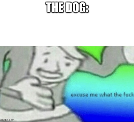 Excuse me wtf blank template | THE DOG: | image tagged in excuse me wtf blank template | made w/ Imgflip meme maker