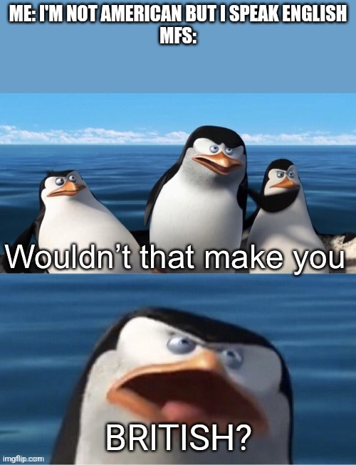 Wouldn’t that make you | ME: I'M NOT AMERICAN BUT I SPEAK ENGLISH
MFS:; BRITISH? | image tagged in wouldn t that make you | made w/ Imgflip meme maker