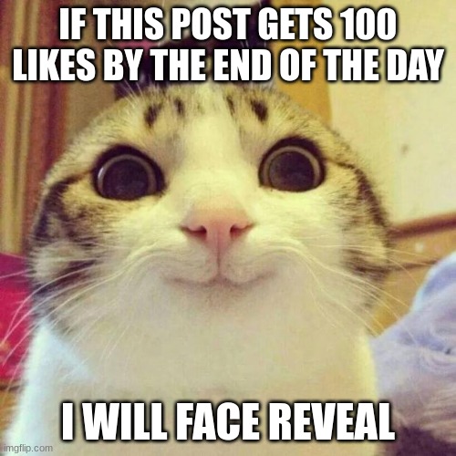 NO JOKE | IF THIS POST GETS 100 LIKES BY THE END OF THE DAY; I WILL FACE REVEAL | image tagged in memes,smiling cat | made w/ Imgflip meme maker