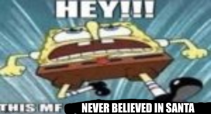HEY!!! THIS MF GOT TGEM FAKE J'S!!! | NEVER BELIEVED IN SANTA | image tagged in hey this mf got tgem fake j's | made w/ Imgflip meme maker