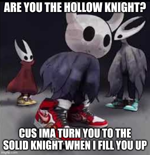 hollow knight rizz | ARE YOU THE HOLLOW KNIGHT? CUS IMA TURN YOU TO THE SOLID KNIGHT WHEN I FILL YOU UP | image tagged in hollow knight drip | made w/ Imgflip meme maker