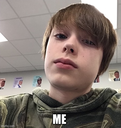 Me Mod note: (Alexander and terrible horrible no good very bad day) | ME | image tagged in face reveal | made w/ Imgflip meme maker
