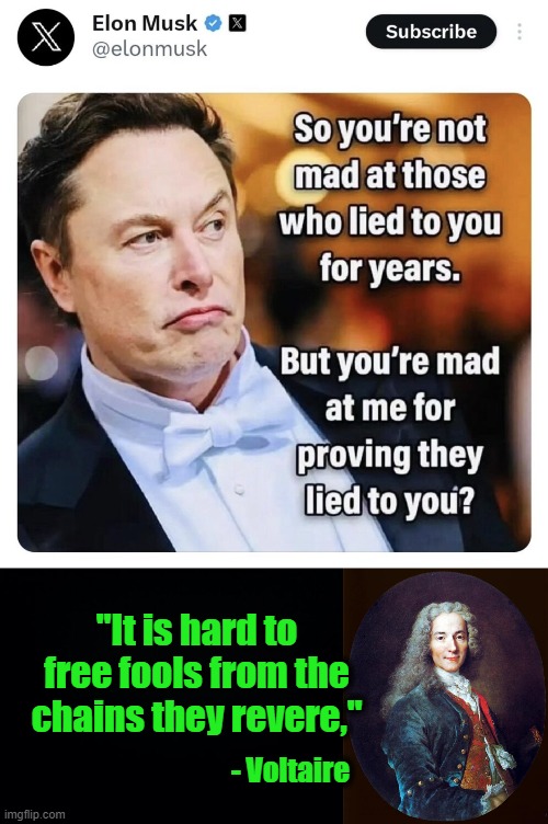 Whose Afraid of Elon Musk? | "It is hard to free fools from the chains they revere,"; - Voltaire | image tagged in black background,voltaire | made w/ Imgflip meme maker