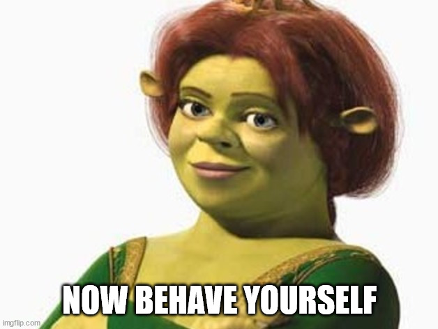 Princess Fiona | NOW BEHAVE YOURSELF | image tagged in princess fiona | made w/ Imgflip meme maker