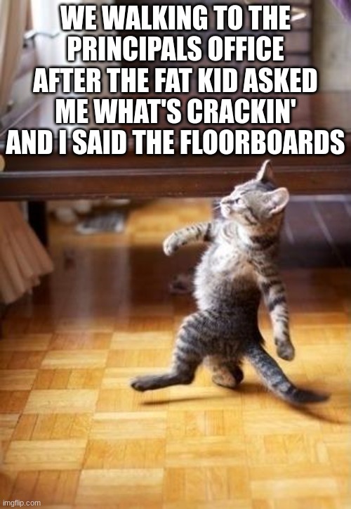 me in school like | WE WALKING TO THE PRINCIPALS OFFICE AFTER THE FAT KID ASKED ME WHAT'S CRACKIN' AND I SAID THE FLOORBOARDS | image tagged in memes,cool cat stroll,middle school | made w/ Imgflip meme maker