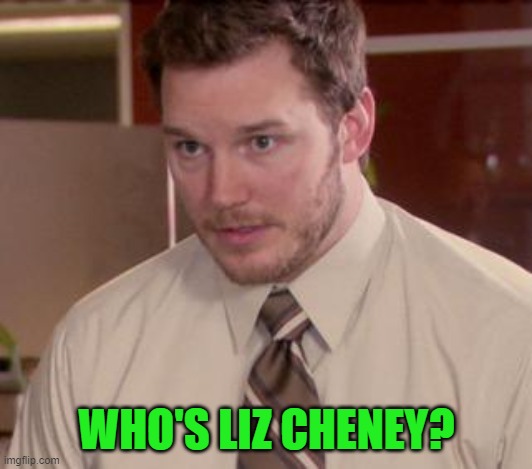 Afraid To Ask Andy (Closeup) Meme | WHO'S LIZ CHENEY? | image tagged in memes,afraid to ask andy closeup | made w/ Imgflip meme maker