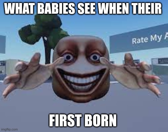 Funny Memes | WHAT BABIES SEE WHEN THEIR; FIRST BORN | image tagged in goofy ahh ball graber,funny,memes,babies,lol,true | made w/ Imgflip meme maker