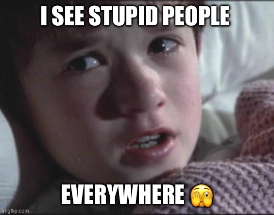 Stupid People | I SEE STUPID PEOPLE; EVERYWHERE 🫣 | image tagged in sixth sense | made w/ Imgflip meme maker