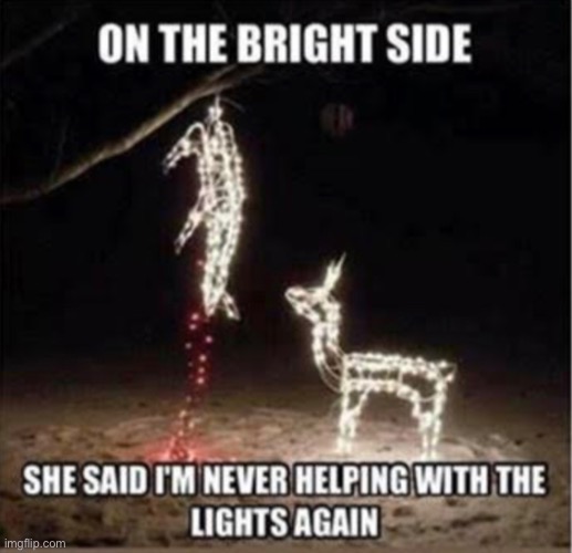 W | image tagged in funny,christmas,meme,christmas lights,fail | made w/ Imgflip meme maker