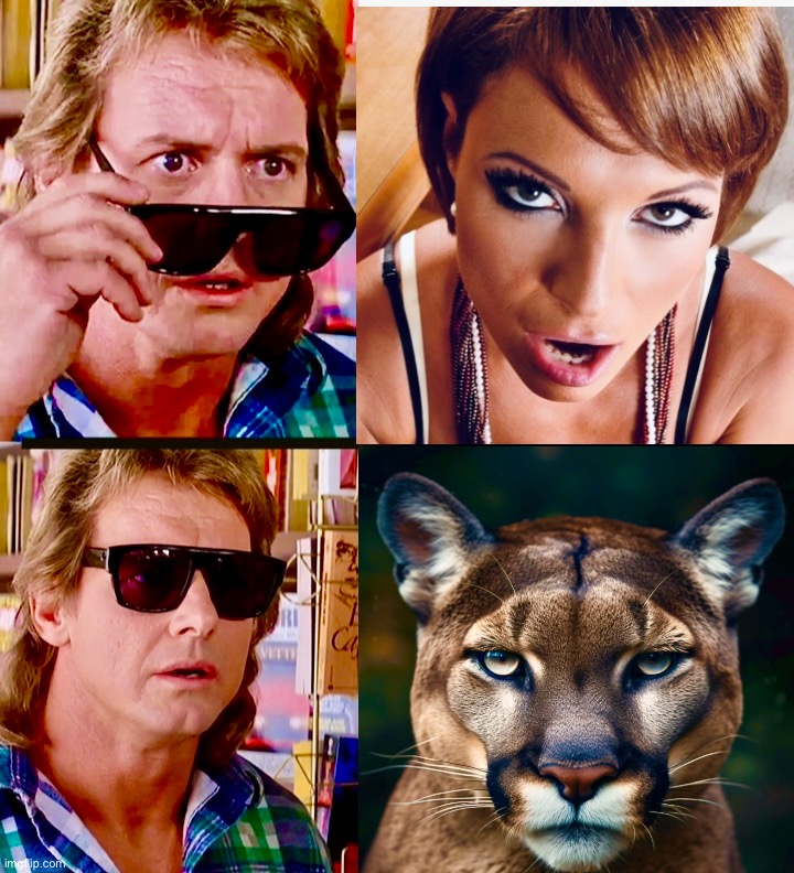 They Prowl | image tagged in they live,cougar,memes,reality,death stare | made w/ Imgflip meme maker