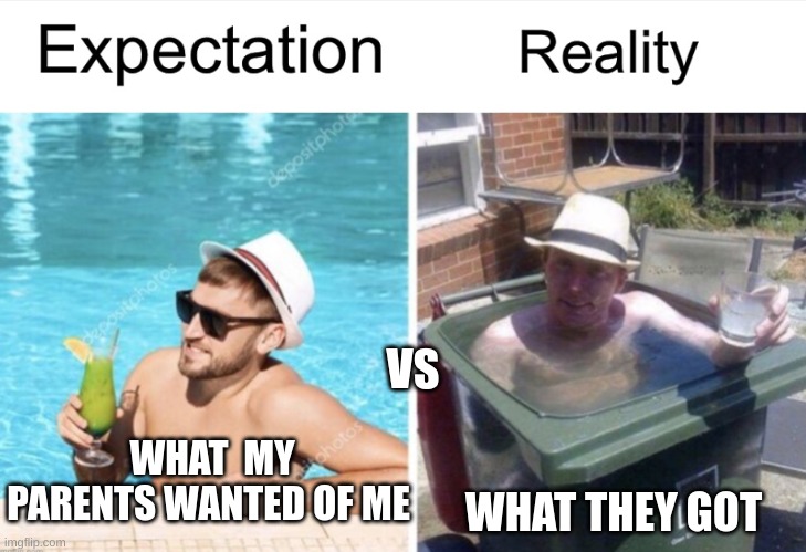 Parent expectations | VS; WHAT  MY PARENTS WANTED OF ME; WHAT THEY GOT | image tagged in expectation vs reality,parents,memes,funny,relatable,true | made w/ Imgflip meme maker