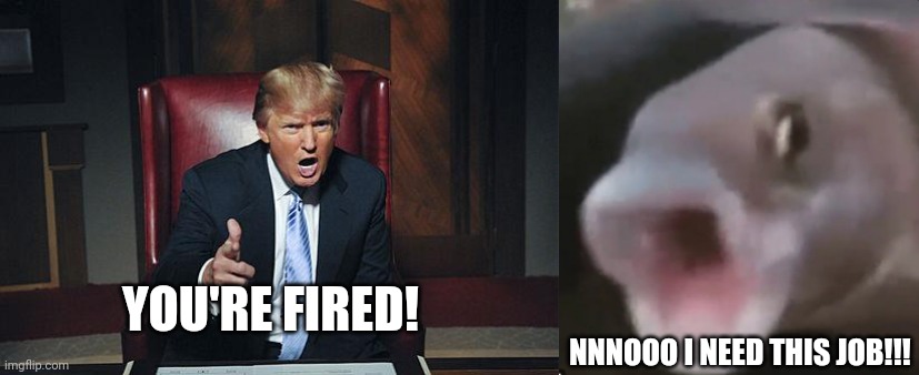 YOU'RE FIRED! NNNOOO I NEED THIS JOB!!! | image tagged in donald trump you're fired,poggers fish | made w/ Imgflip meme maker