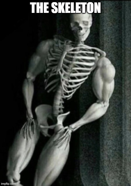 Buff Skeleton | THE SKELETON | image tagged in buff skeleton | made w/ Imgflip meme maker