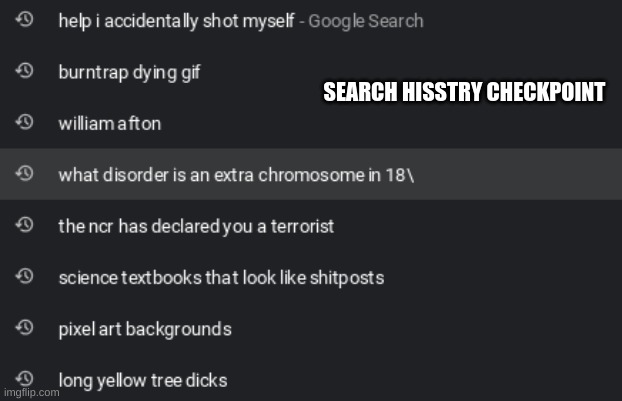 SEARCH HISSTRY CHECKPOINT | made w/ Imgflip meme maker