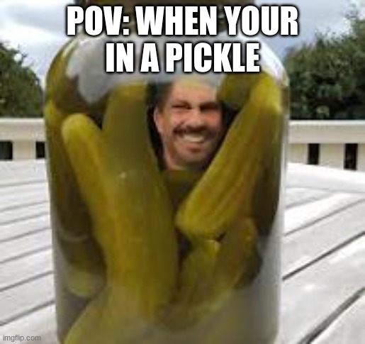 Dont ask | POV: WHEN YOUR  IN A PICKLE | image tagged in pickle,fun stream | made w/ Imgflip meme maker