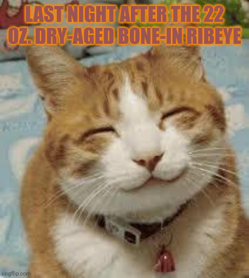 Happy cat | LAST NIGHT AFTER THE 22 OZ. DRY-AGED BONE-IN RIBEYE | image tagged in happy cat | made w/ Imgflip meme maker