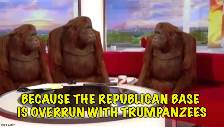where monkey | BECAUSE THE REPUBLICAN BASE 
IS OVERRUN WITH TRUMPANZEES | image tagged in where monkey | made w/ Imgflip meme maker