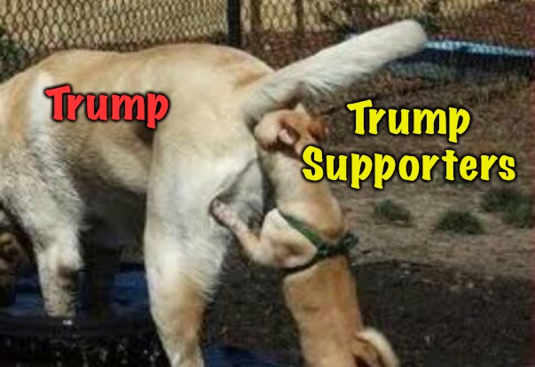The New Right | Trump; Trump
Supporters | image tagged in brown noser | made w/ Imgflip meme maker