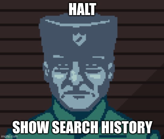 Show search history | HALT; SHOW SEARCH HISTORY | image tagged in papers please soldier | made w/ Imgflip meme maker