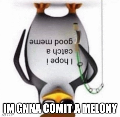 melon | IM GNNA COMIT A MELONY | image tagged in i hope i catch a good meme flipped | made w/ Imgflip meme maker