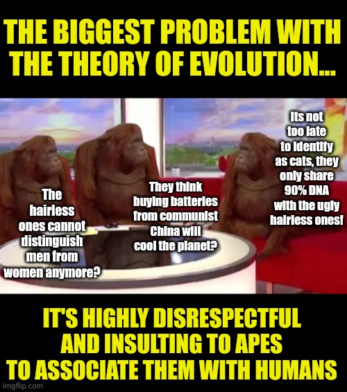If apes could speak, the first thing they'd say is there is no way humans can be related to them. It's insulting to them! | THE BIGGEST PROBLEM WITH THE THEORY OF EVOLUTION... Its not too late to identify as cats, they only share 90% DNA with the ugly hairless ones! They think buying batteries from communist China will cool the planet? The hairless ones cannot distinguish men from women anymore? IT'S HIGHLY DISRESPECTFUL AND INSULTING TO APES TO ASSOCIATE THEM WITH HUMANS | image tagged in where monkey,politics,liberal hypocrisy,planet of the apes,liberals vs conservatives,evolution | made w/ Imgflip meme maker