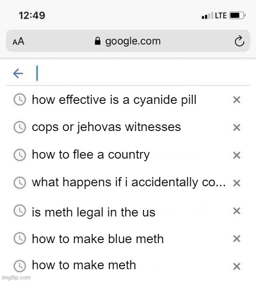 Google search history | how to make blue meth how to make meth is meth legal in the us what happens if i accidentally co... how to flee a country cops or jehovas wi | image tagged in google search history | made w/ Imgflip meme maker