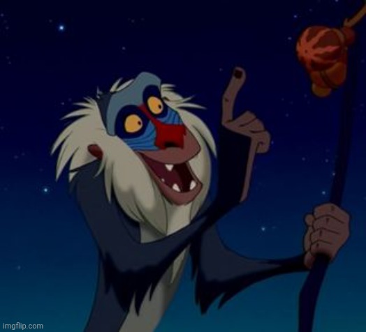 rafiki | image tagged in rafiki | made w/ Imgflip meme maker