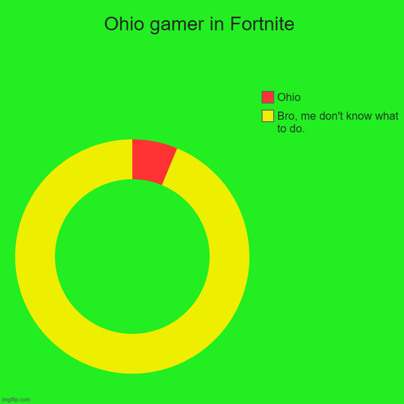 Ohio gamer | Ohio gamer in Fortnite | Bro, me don't know what to do., Ohio | image tagged in charts,donut charts | made w/ Imgflip chart maker