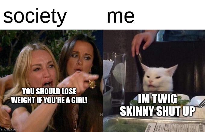 hi | society; me; YOU SHOULD LOSE WEIGHT IF YOU'RE A GIRL! IM TWIG SKINNY SHUT UP | image tagged in memes,woman yelling at cat,hey internet | made w/ Imgflip meme maker
