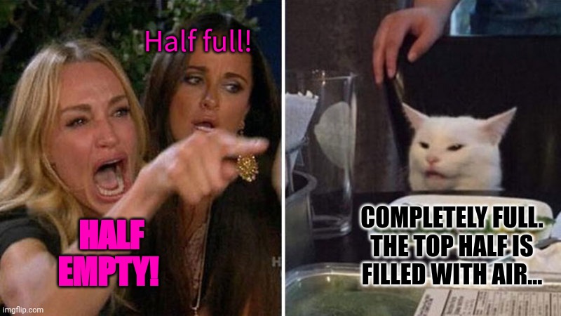 Woman yelling at white cat | HALF EMPTY! Half full! COMPLETELY FULL. THE TOP HALF IS FILLED WITH AIR... | image tagged in woman yelling at white cat | made w/ Imgflip meme maker