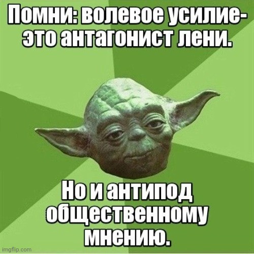 -Remember the Yoda words! | image tagged in foreign policy,whisper sloth,no i don't think i will,star wars yoda,advice yoda,we live in a society | made w/ Imgflip meme maker