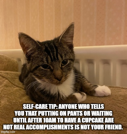 self care cat | SELF-CARE TIP: ANYONE WHO TELLS YOU THAT PUTTING ON PANTS OR WAITING UNTIL AFTER 10AM TO HAVE A CUPCAKE ARE NOT REAL ACCOMPLISHMENTS IS NOT YOUR FRIEND. | image tagged in advice cat | made w/ Imgflip meme maker